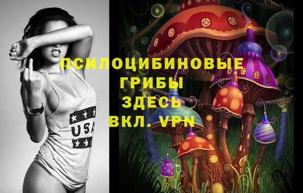 PSILOCYBIN Белокуриха