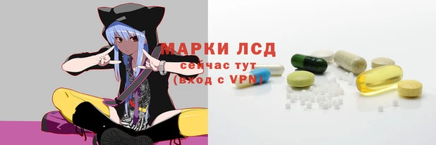 PSILOCYBIN Белокуриха