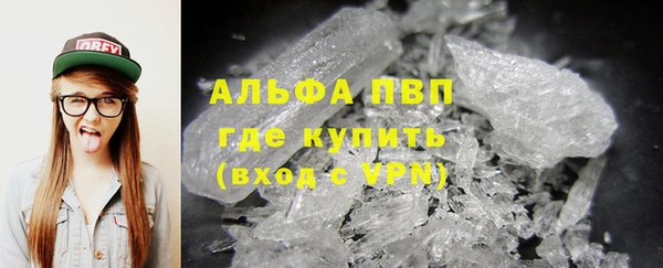PSILOCYBIN Белокуриха