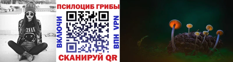 Галлюциногенные грибы ЛСД  где можно купить наркотик  ОМГ ОМГ онион  Богучар 
